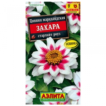 Цинния Захара старлайт роуз