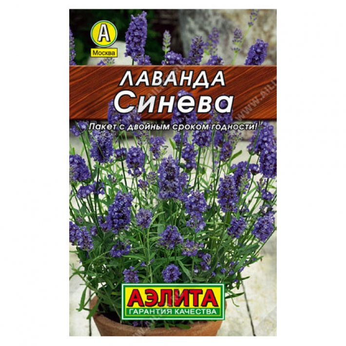 Лаванда Синева