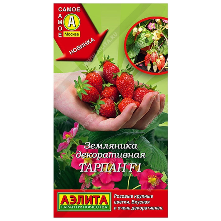 Земляника Тарпан F1