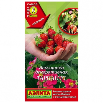 Земляника Тарпан F1
