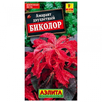 Амарант Биколор