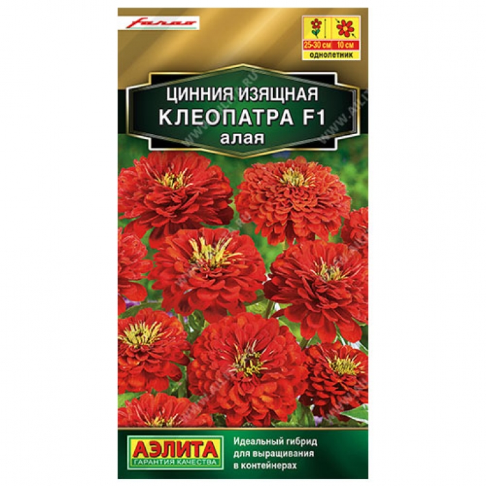 Цинния Клеопатра F1 алая