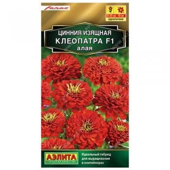 Цинния Клеопатра F1 алая