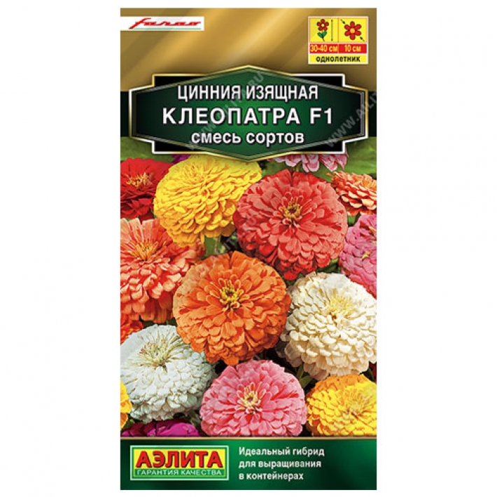 Цинния Клеопатра F1, смесь окрасок