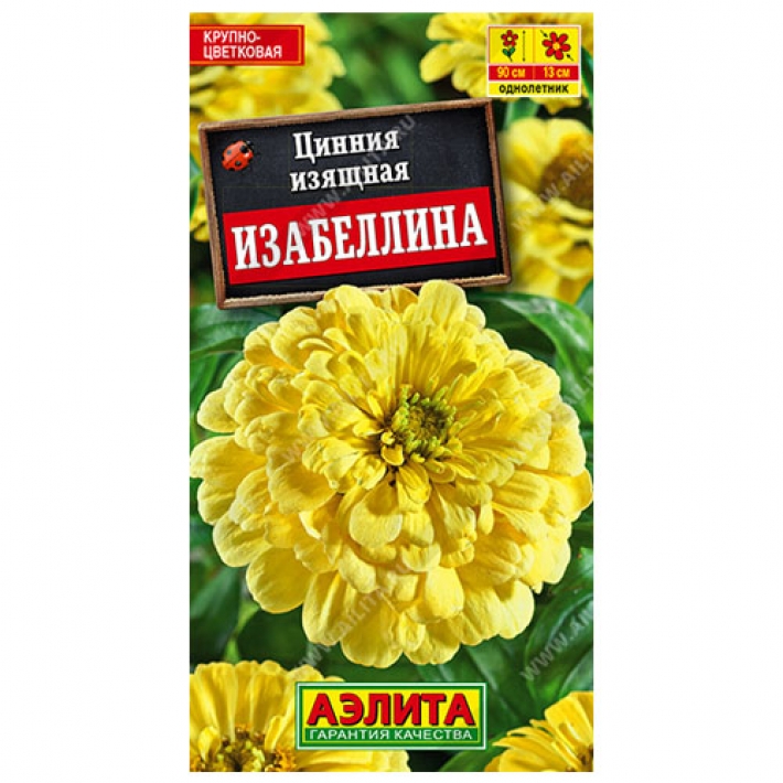 Цинния Изабеллина георгиновидная