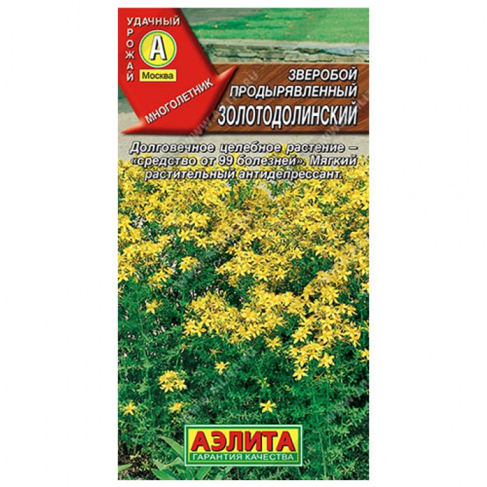 Зверобой Золотодолинский