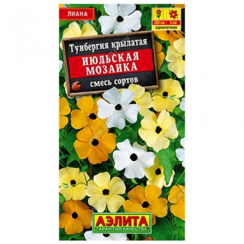 Тунбергия Июльская мозаика, смесь сортов
