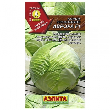 Капуста б/к Аврора F1
