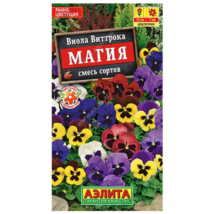 Виола Магия, смесь сортов