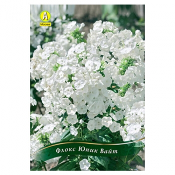 Флокс Юник Вайт