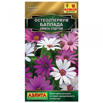 Остеоспермум Баллада, смесь сортов