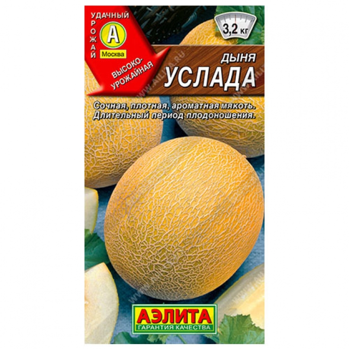 Дыня Услада