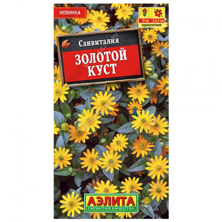 Санвиталия Золотой куст