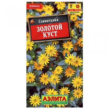 Санвиталия Золотой куст