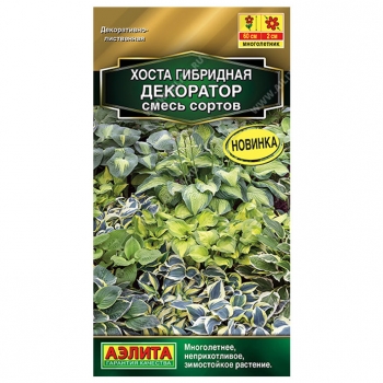 Хоста Декоратор, смесь сортов