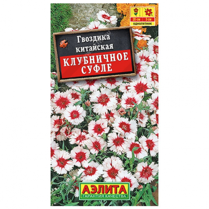 Гвоздика китайская Клубничное суфле