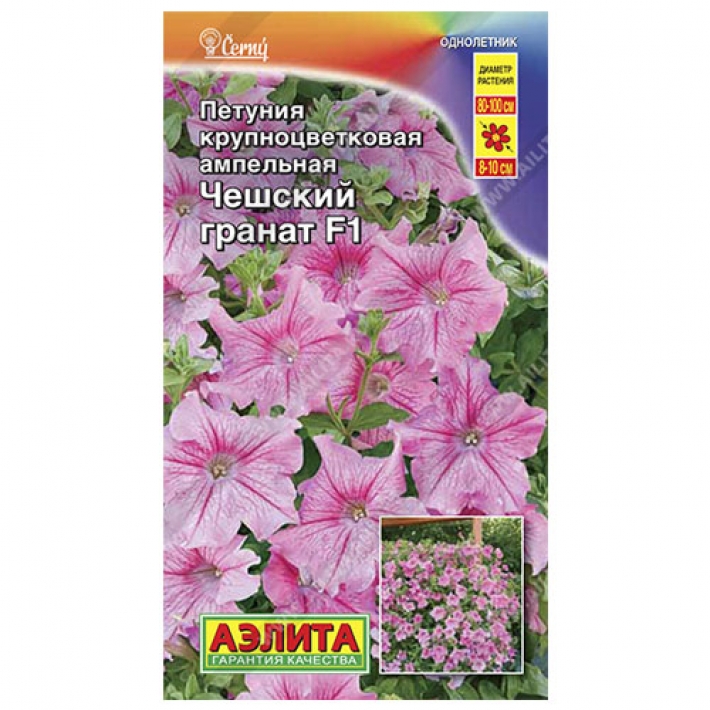 Петуния Чешский гранат F1 крупноцветковая ампельная