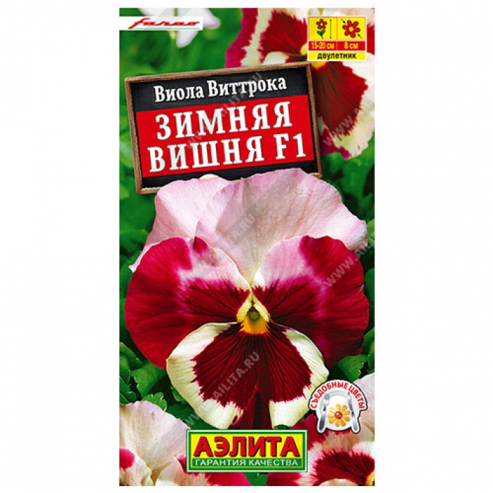 Виола Зимняя вишня F1