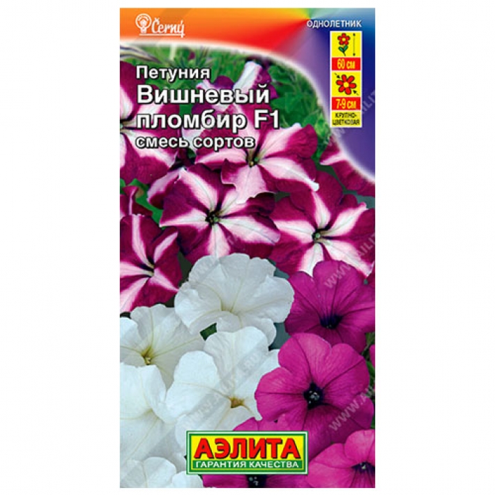 Петуния Вишневый пломбир F1 крупноцветковая ампельная, смесь сортов