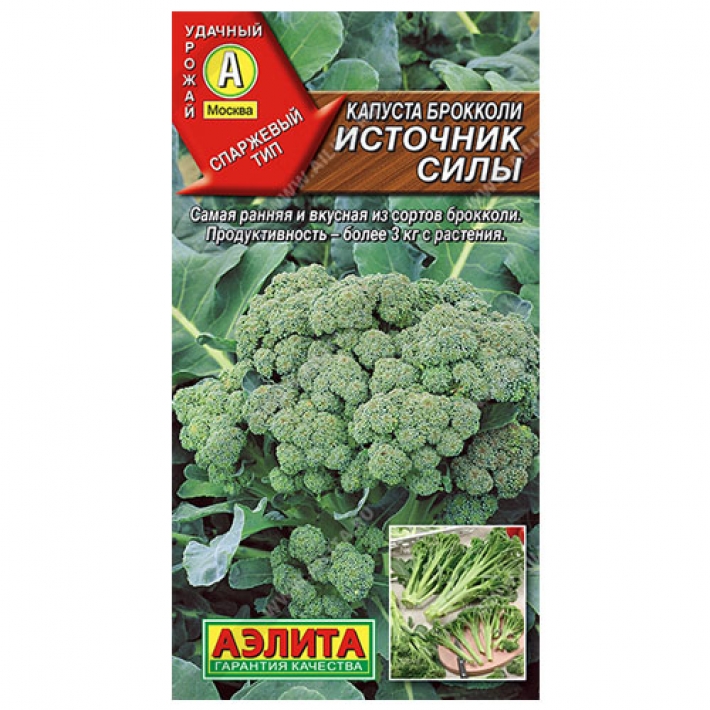 Капуста брокколи Источник силы