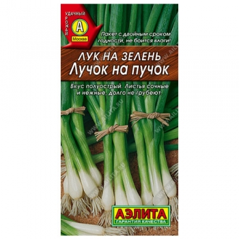 Лук на зелень Лучок на пучок