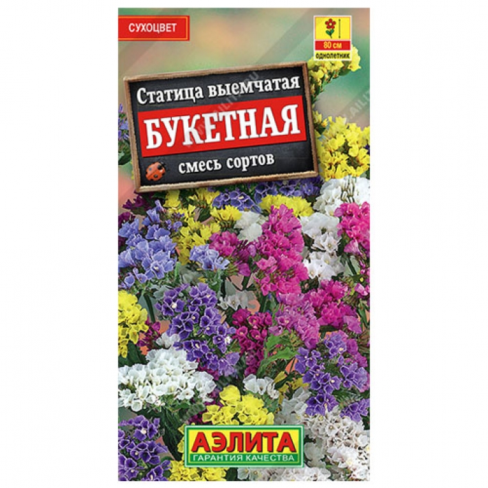 Статица Букетная, смесь сортов