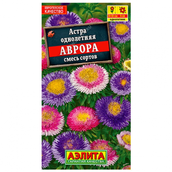 Астра Аврора, смесь сортов
