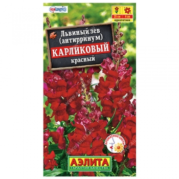 Львиный зев карликовый красный