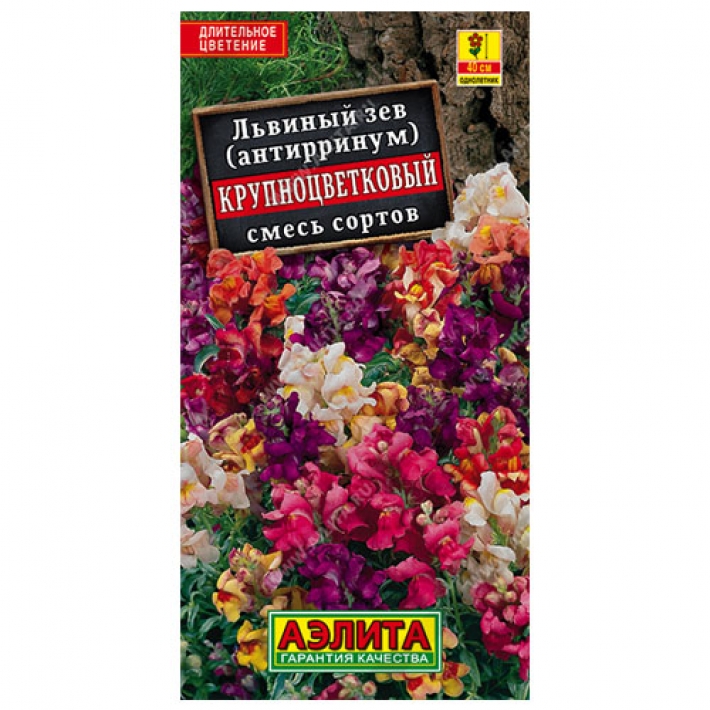 Львиный зев Крупноцветковый, смесь сортов