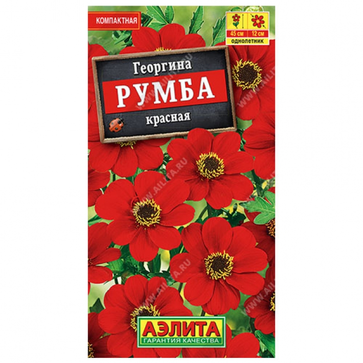 Георгина Румба красная