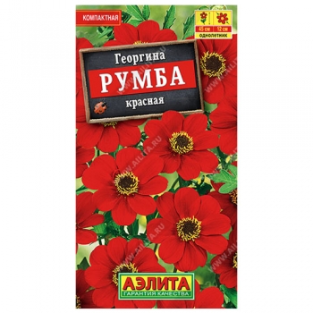 Георгина Румба красная