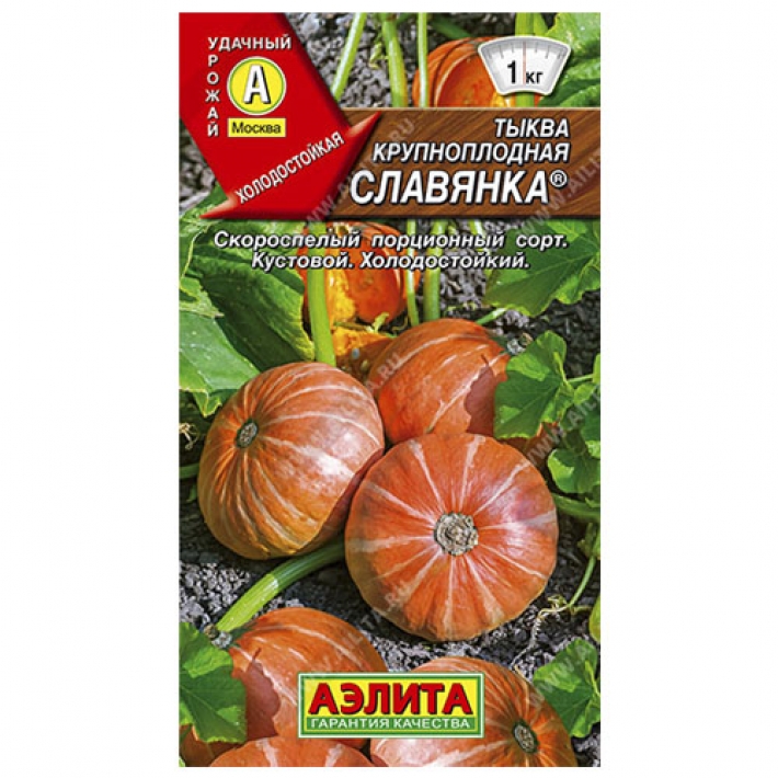 Тыква крупноплодная Славянка &reg;