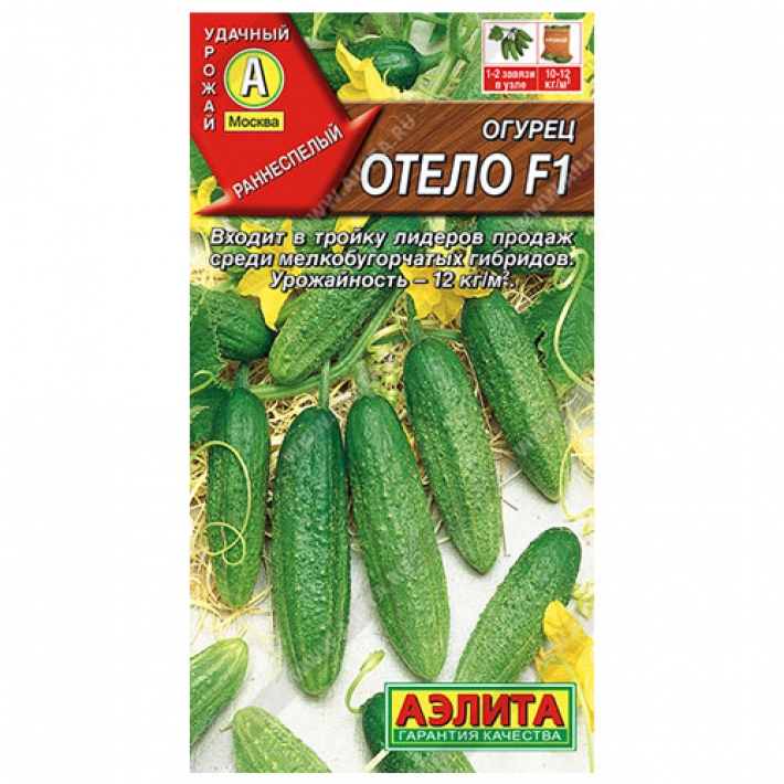 Огурец Отело F1