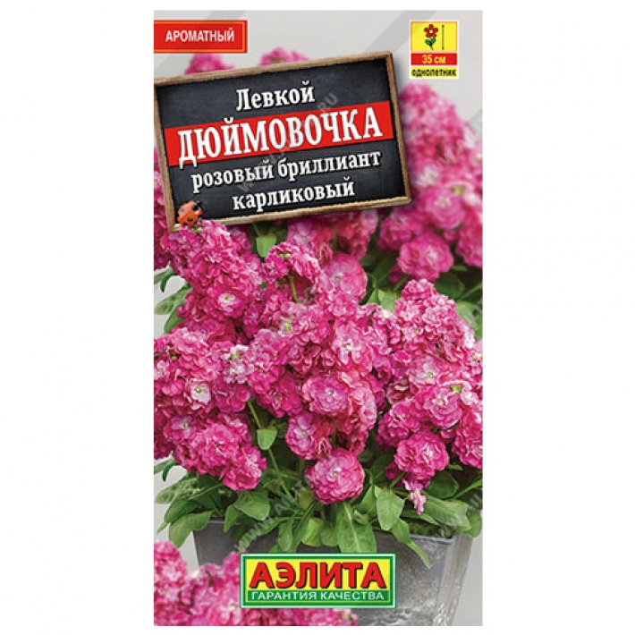 Левкой карликовый Дюймовочка розовый бриллиант