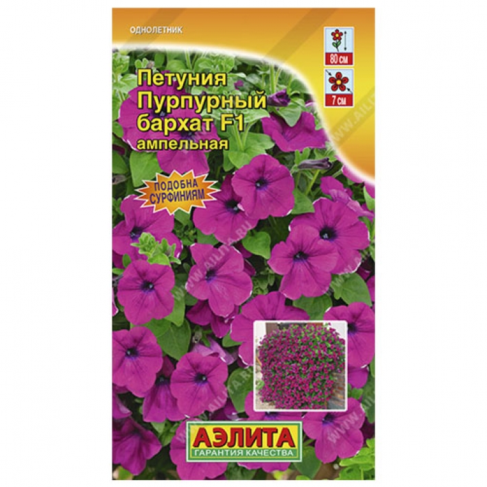 Петуния Пурпурный бархат F1 ампельная