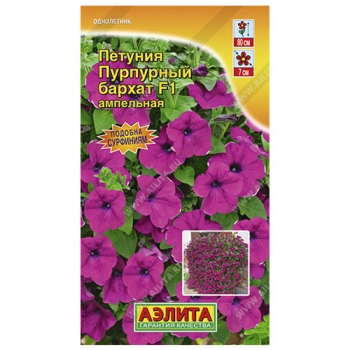 Петуния Пурпурный бархат F1 ампельная