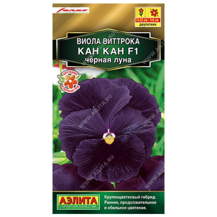 Виола Кан Кан F1 черная луна