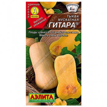 Тыква мускатная Гитара &reg;