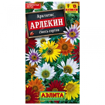 Арктотис гибридный Арлекин, смесь окрасок