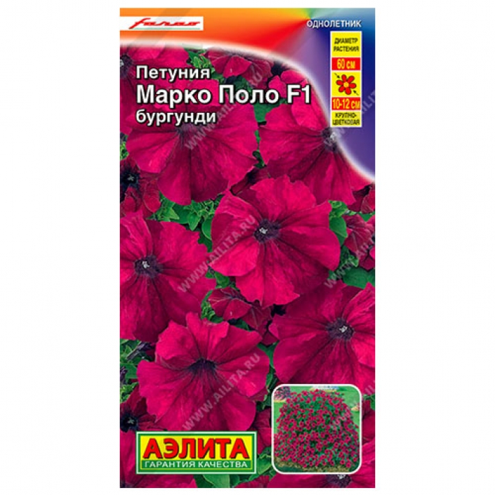 Петуния Марко Поло F1 бургунди