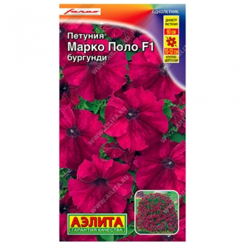 Петуния Марко Поло F1 бургунди
