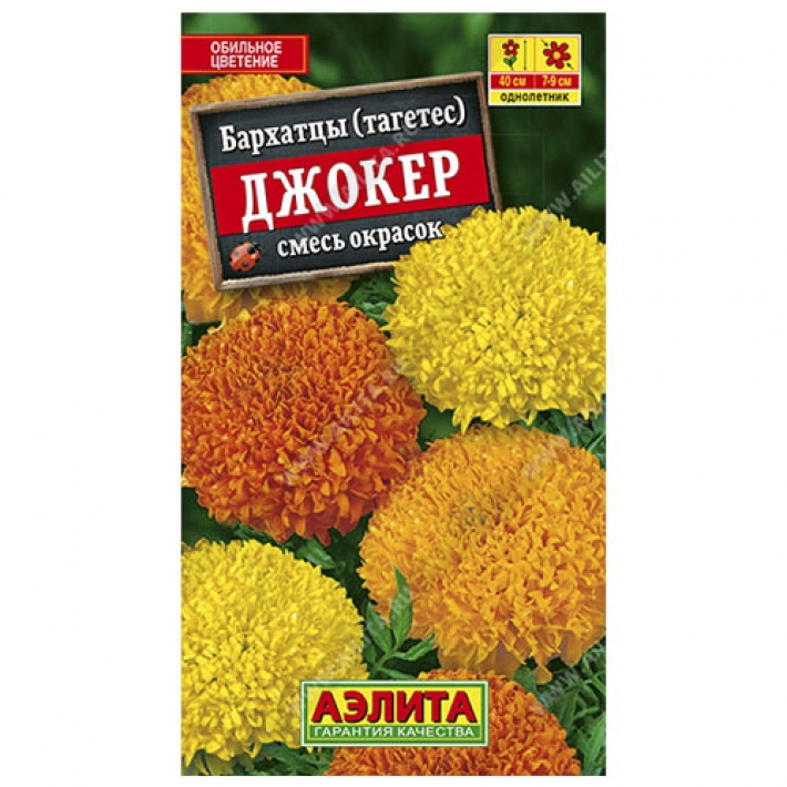 Бархатцы Джокер, смесь окрасок