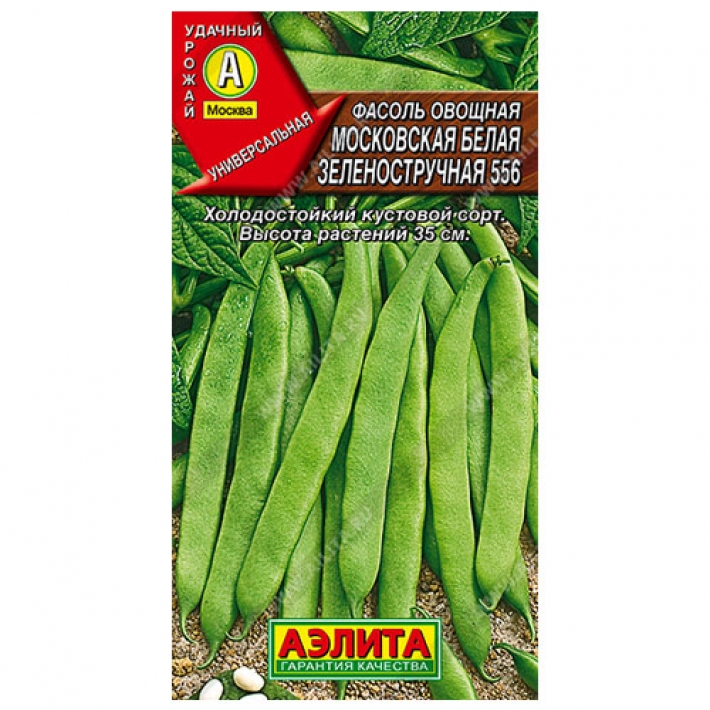 Фасоль овощная Московская белая зеленостручная 556