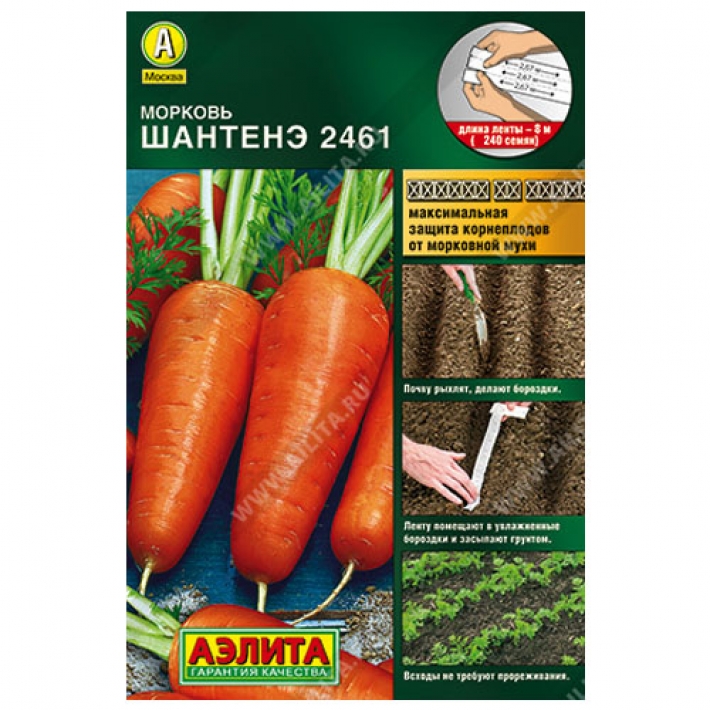 Морковь Шантенэ 2461