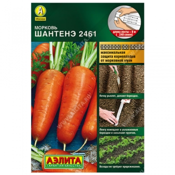 Морковь Шантенэ 2461