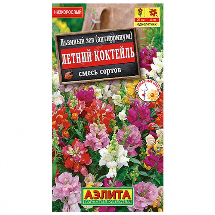 Львиный зев Летний коктейль, смесь сортов