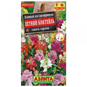 Львиный зев Летний коктейль, смесь сортов