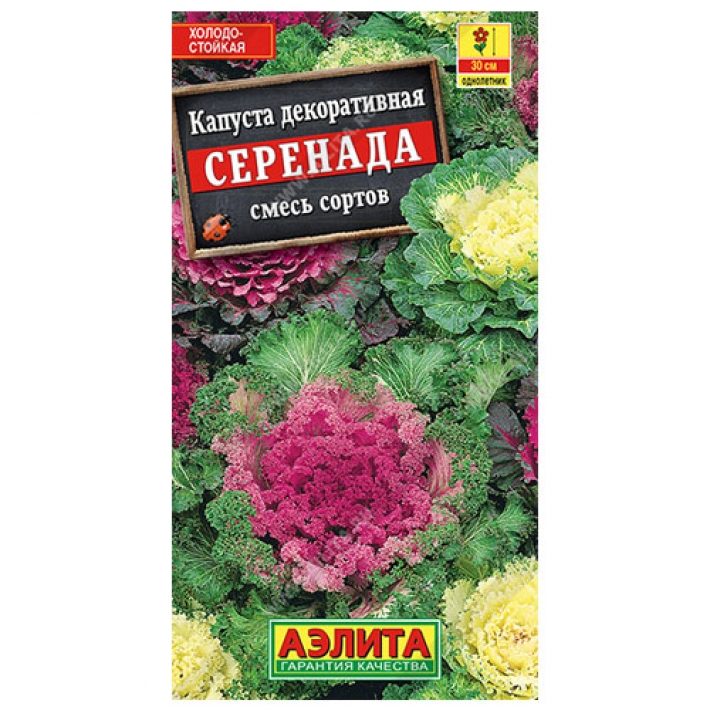 Капуста декоративная Серенада, смесь сортов