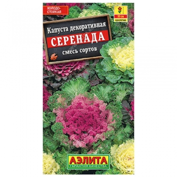 Капуста декоративная Серенада, смесь сортов