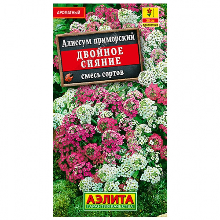 Алиссум Двойное сияние, смесь сортов